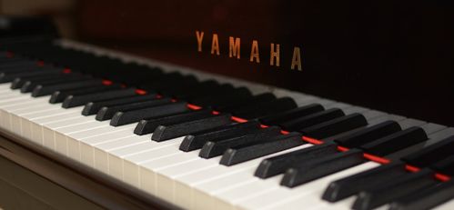 雅馬哈電鋼琴數(shù)碼鋼琴怎么樣 值得買么