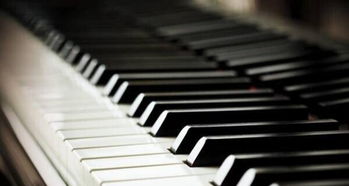 專業鋼琴一對一授課 沈陽音樂學院鋼琴系的卓越傳承